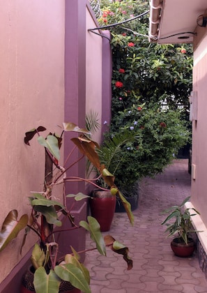 Een smalle buitenpassage met plantenbakken en een muur aan één kant.