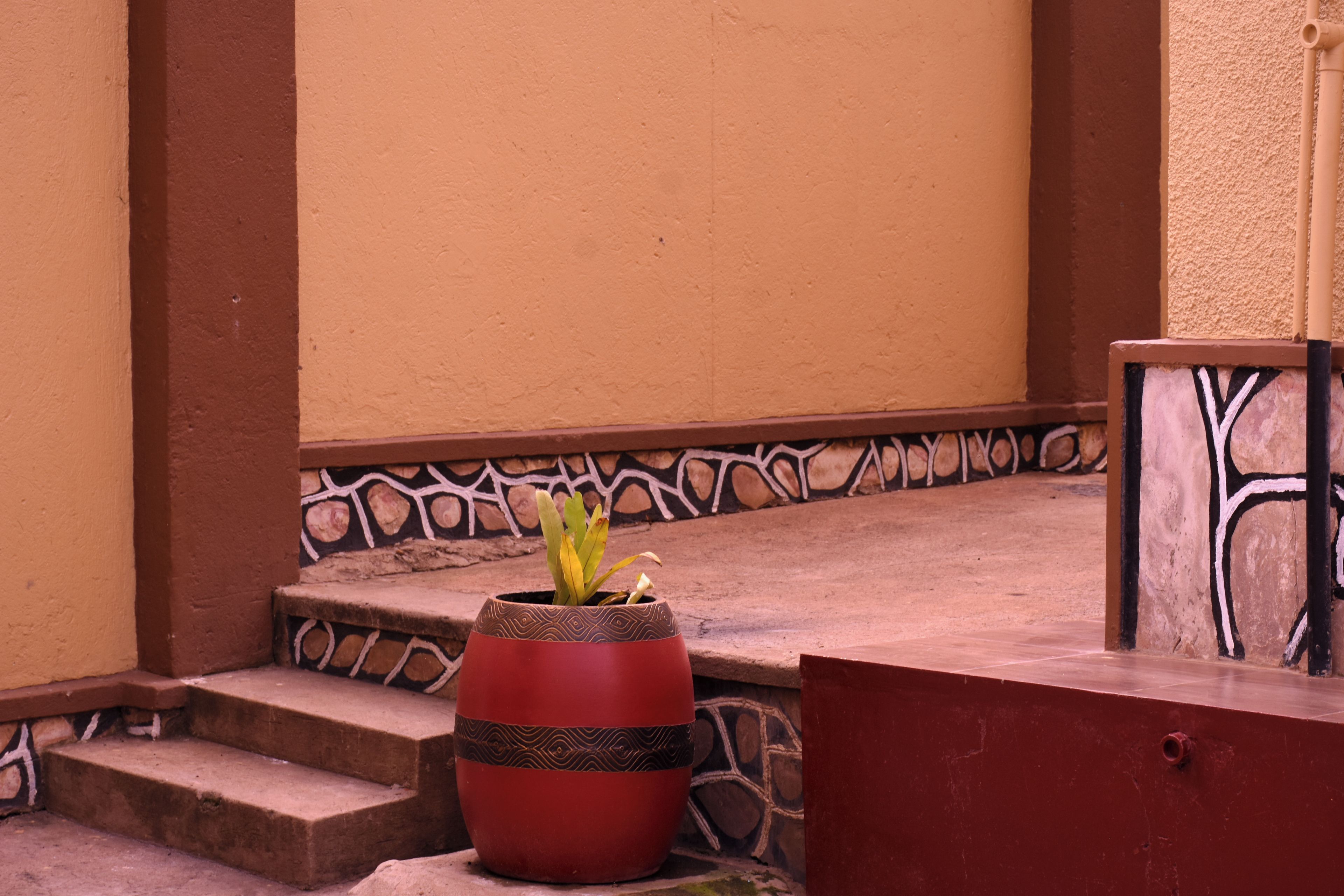 A potted plant on a stone step with a patterned wall in the background.