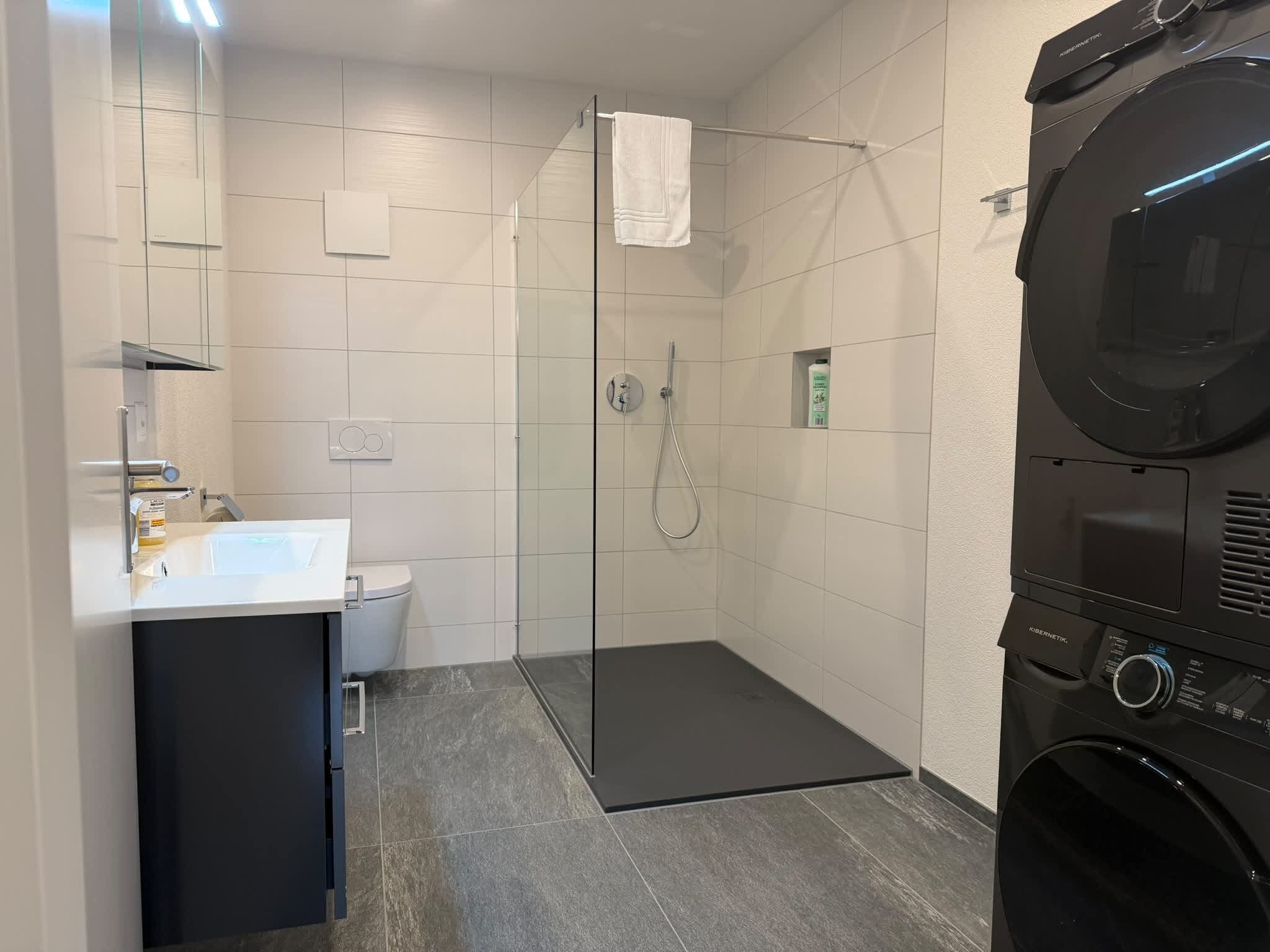 Une salle de bain moderne avec une douche à parois de verre, des toilettes, un lavabo et un lave-linge noir.