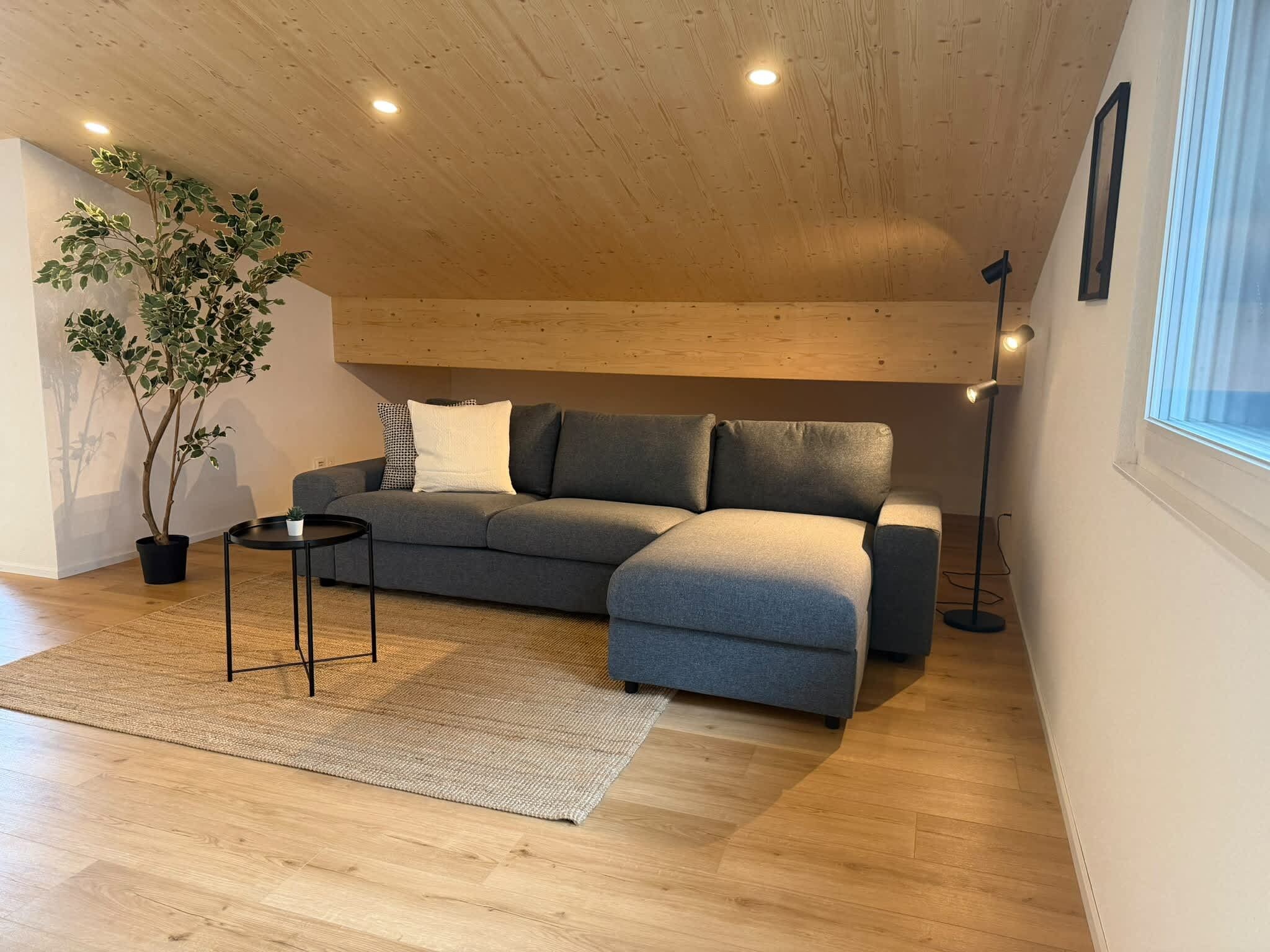Een moderne woonkamer met een grijze modulaire bank, een klein zwart bijzettafeltje, een potplant en een vloerlamp.