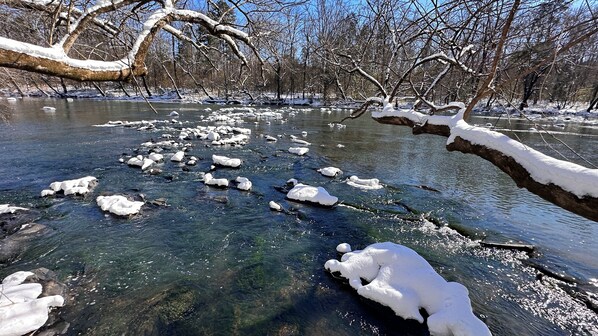 Un río con ramas cubiertas de nieve y hielo.