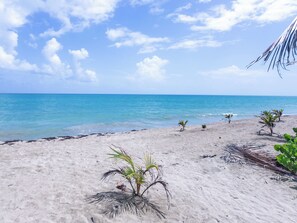Una playa con aguas azul turquesa, orilla arenosa y pequeñas palmeras.