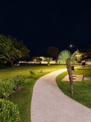 Uma passagem noturna em um parque com árvores e uma palmeira.