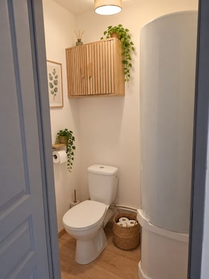 A bathroom with a toilet, a wooden cabinet with plants, a roll of toilet paper, and a basket of toilet paper. - New Listing (Blangy-sur-Bresle)