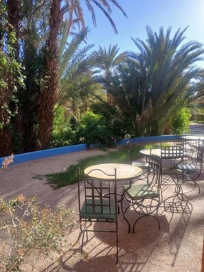 Outdoor seating with metal chairs and tables, surrounded by palm trees and greenery. - Chez moulay ismail (Tamnougalt)