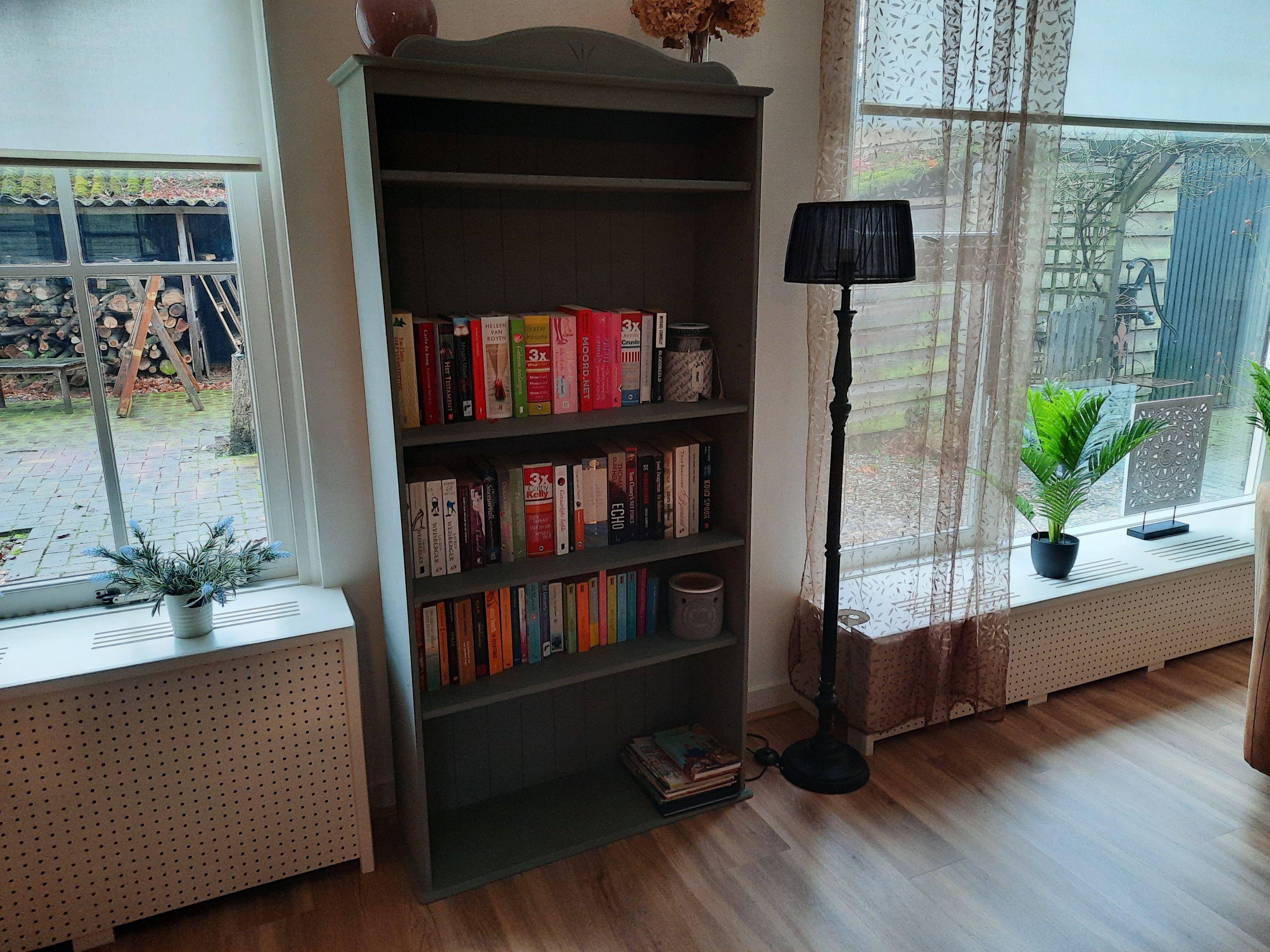 Una habitación con una estantería, una planta en maceta y una ventana que ofrece vistas al exterior.