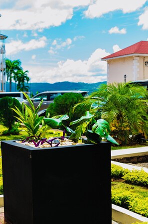 A landscaped garden with various plants and a building in the background. - Stunning Oceanview 2BR-Pool-Balcony & 24/7 Security (Montego Bay)