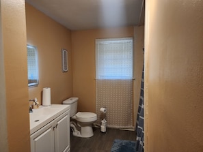 Une petite salle de bain comprenant des toilettes, un lavabo et un espace douche.