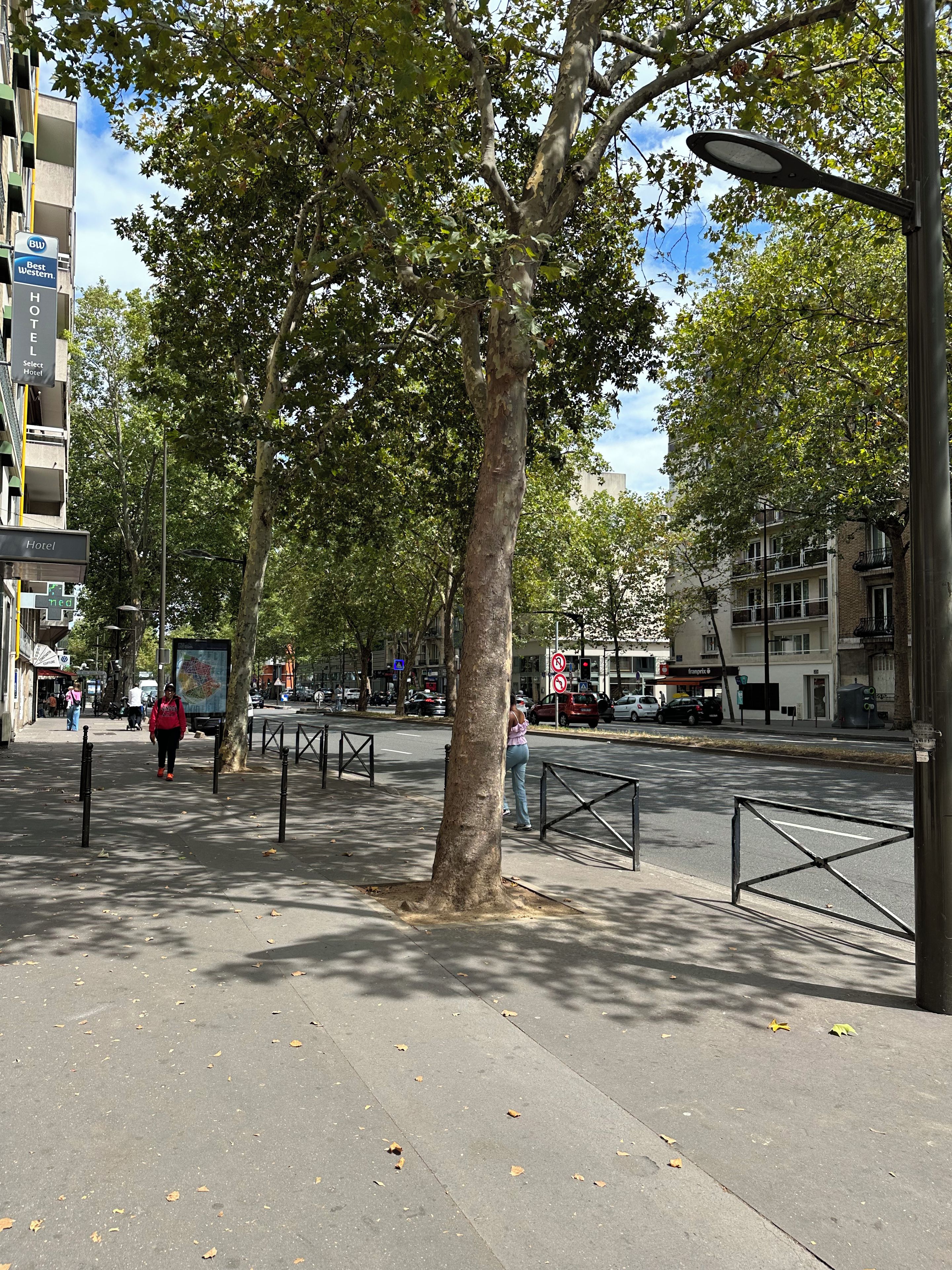 Une rue bordée d’arbres, avec une enseigne d’hôtel, une promenade piétonne et des bâtiments urbains.