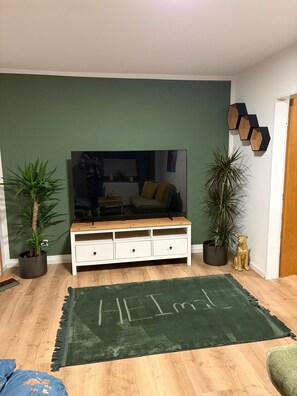 A living room with a TV, wooden entertainment unit, green walls, and a green rug with 'HELIMI' on it. - New Listing (Marienheide)