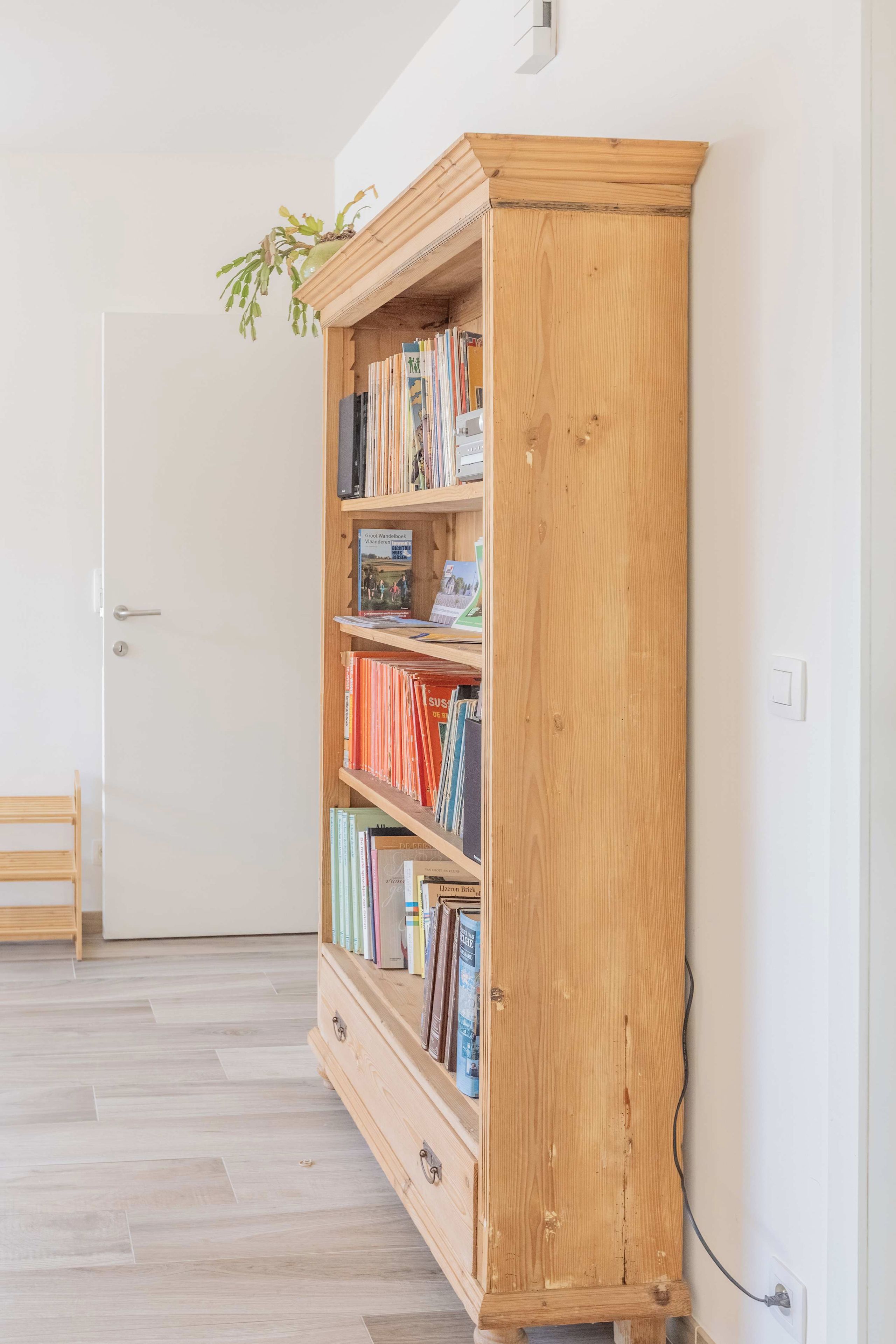Ein Bücherregal aus Holz mit Büchern und einer kleinen Pflanze darauf.