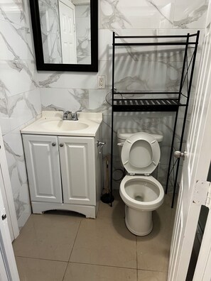 Bathroom - STAR PACIFIC- cozy 1 bedroom brooklyn apartment (Brooklyn)