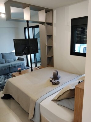 Une chambre à coucher avec un lit, un canapé, une télévision et une fenêtre.