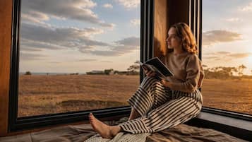 A person sitting by a window with a view of a field and sky.