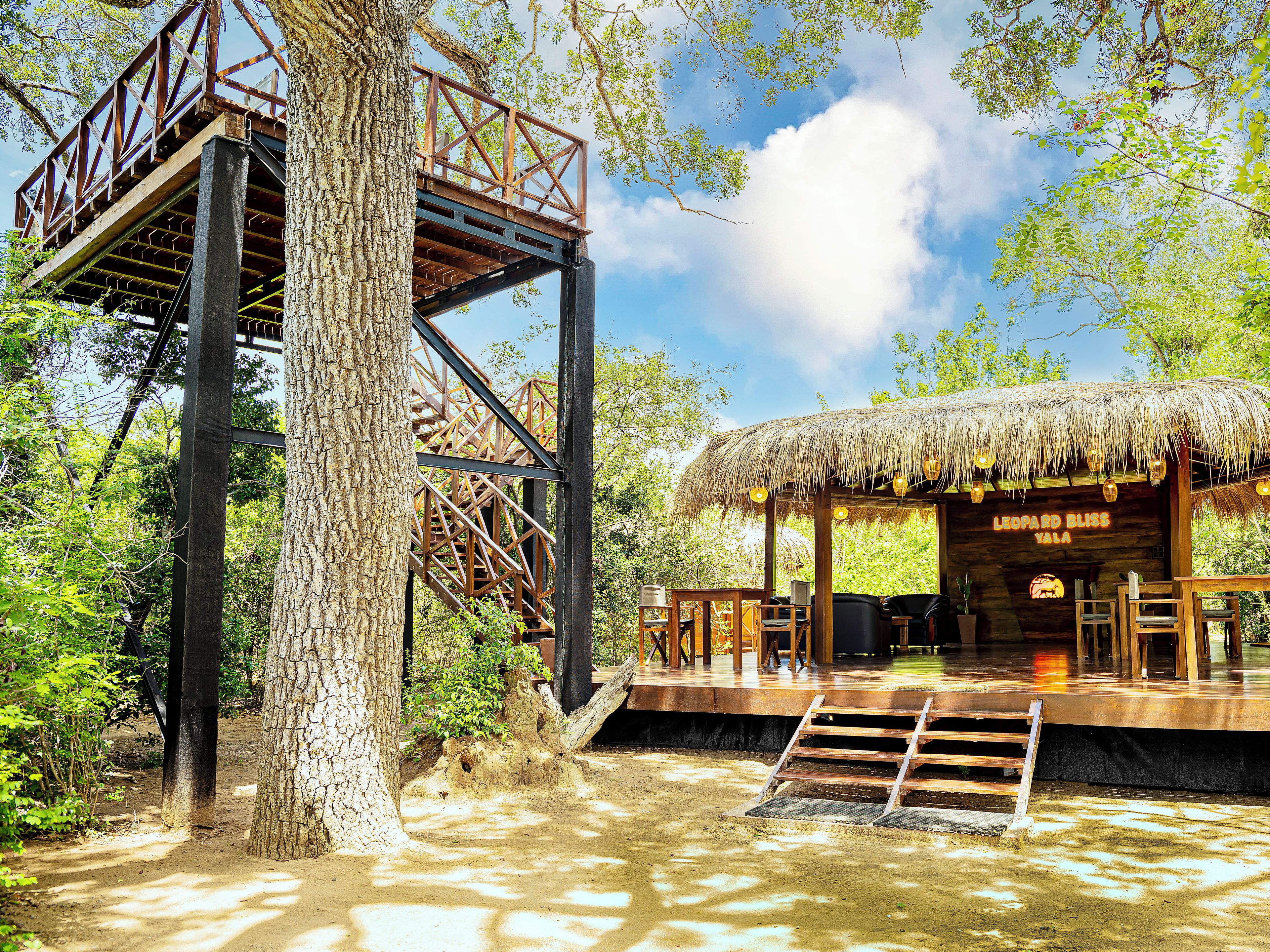 A treehouse with a thatched roof and a wooden deck, surrounded by lush greenery.