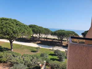 Paisagem costeira com árvores e uma praia.