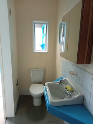 Une salle de bain avec des toilettes, un lavabo et une fenêtre.
