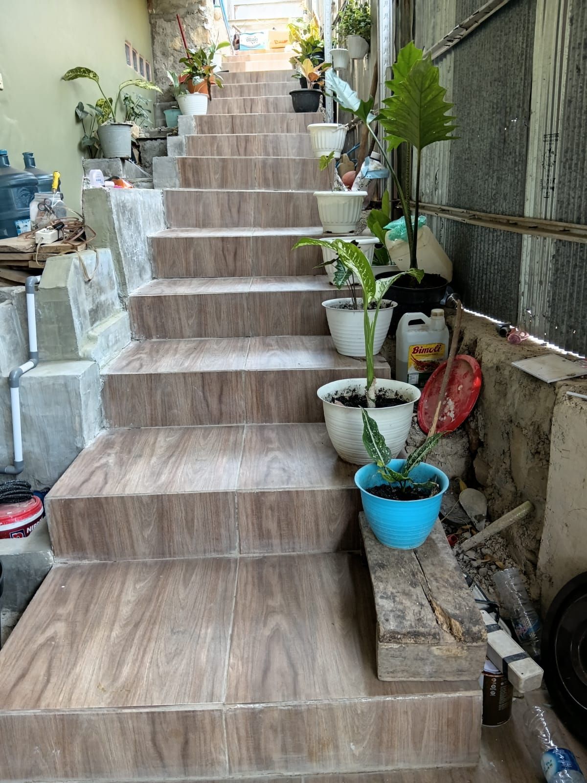 Un juego de escaleras de madera que sube a un nivel superior, con plantas en macetas a ambos lados.