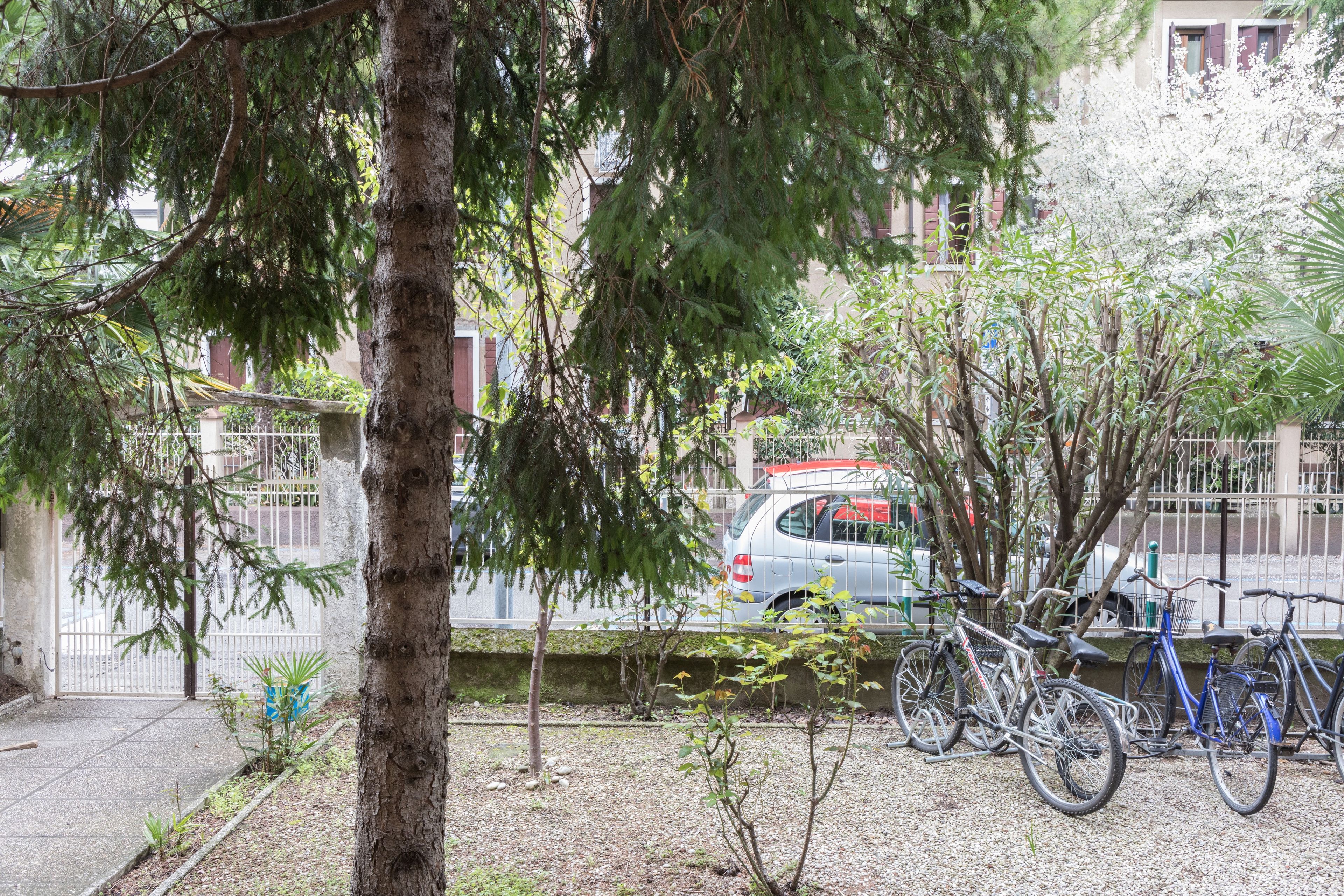 Ein Parkplatz mit Fahrrädern, einem Auto und einem Baum.