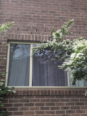 Detalle exterior
