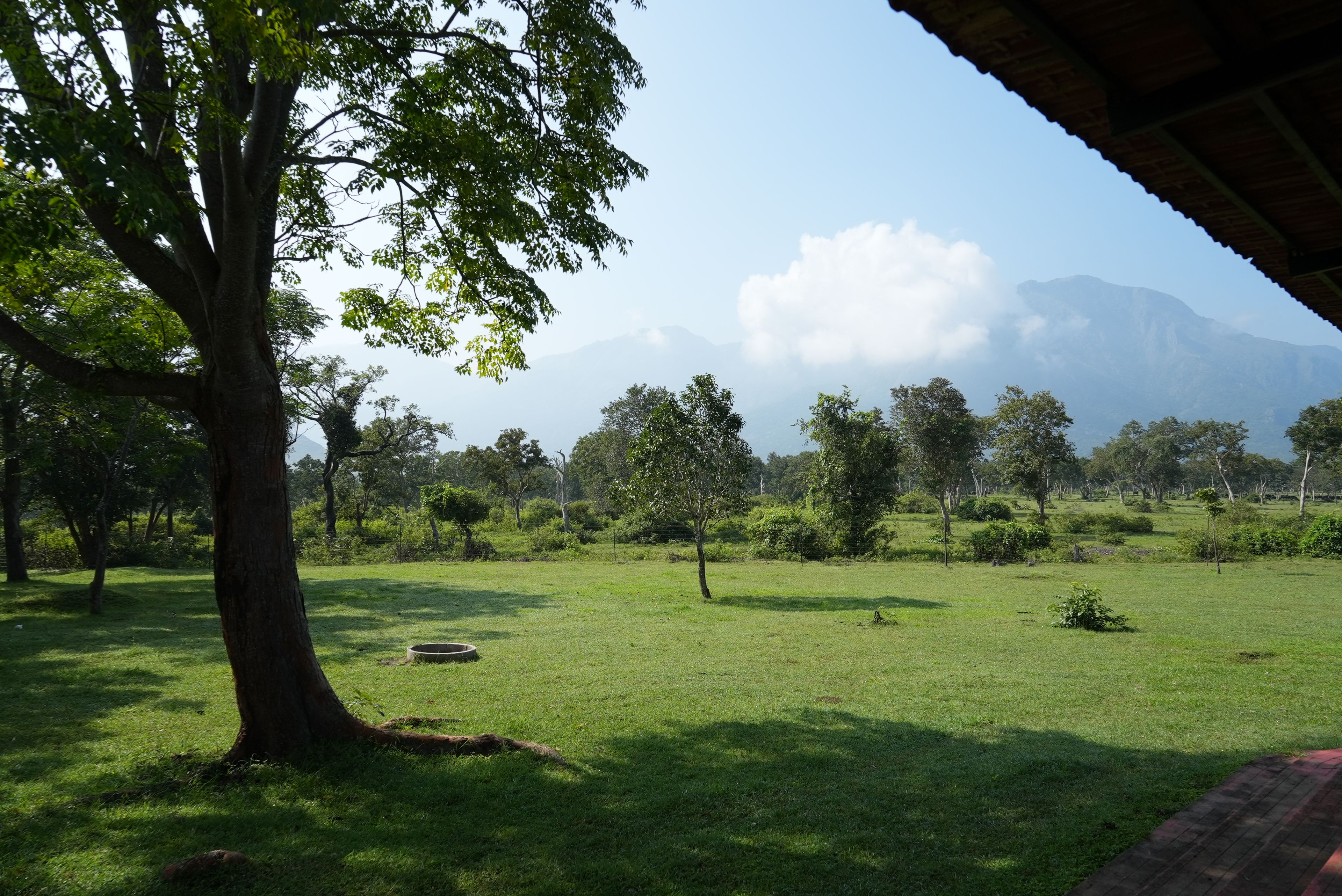 View from room