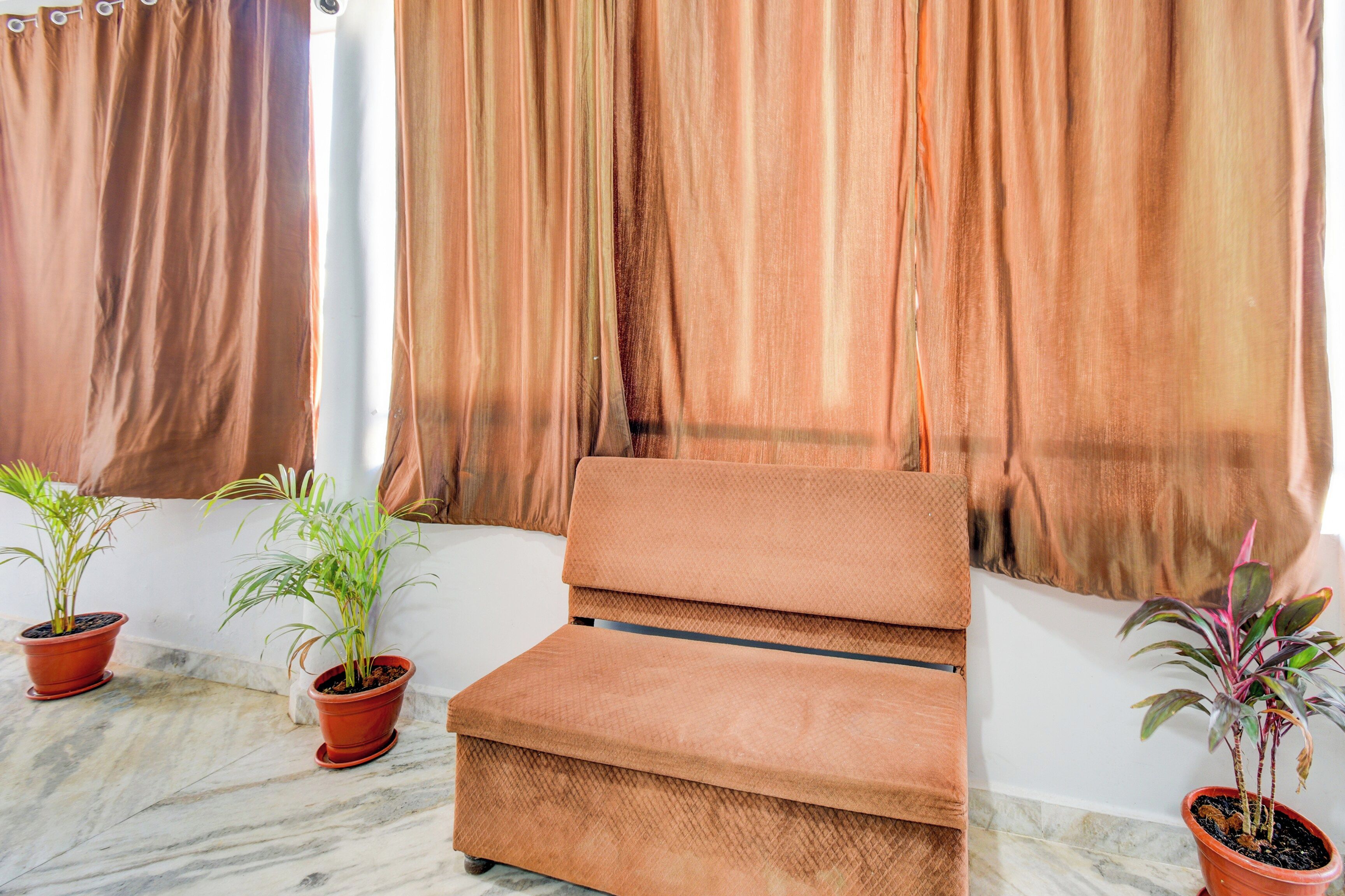 A room with a brown sofa, two potted plants, and brown curtains.