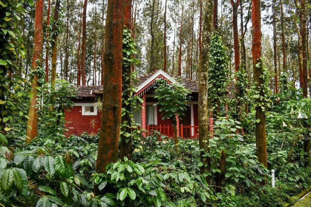 Una cabaña roja rodeada de un bosque denso.