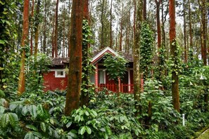 Una cabaña roja rodeada de un bosque denso.