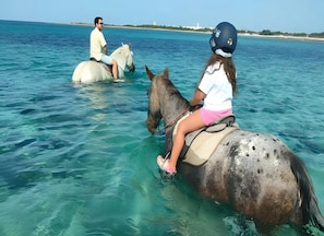 Two individuals riding horses in shallow water, with a clear view of the sea and distant land. - Room 'Diva 3 Executive' (Porto Cesareo)