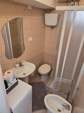 Un baño con inodoro, lavamanos y ducha.