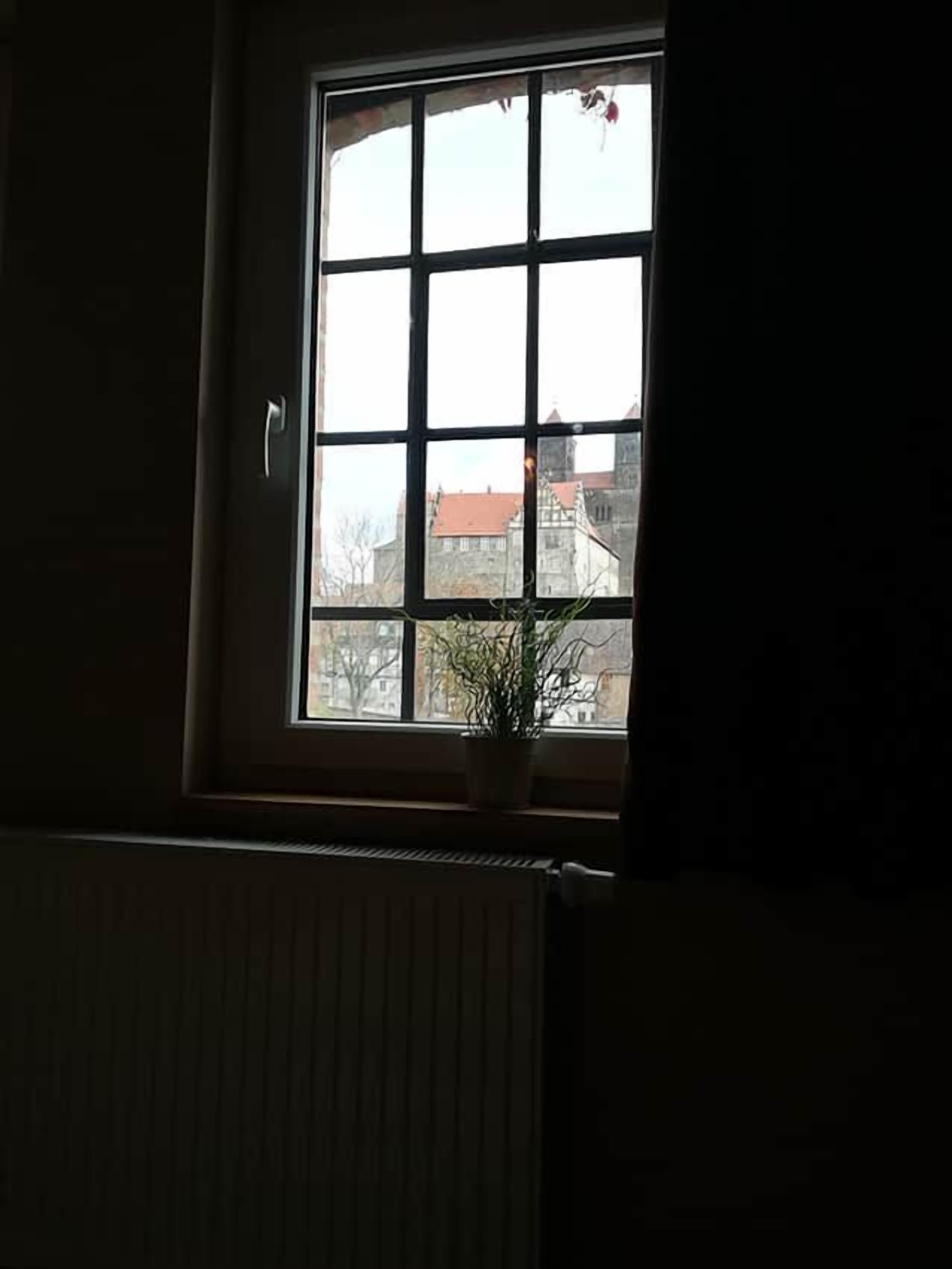 A window with a view of buildings and a plant on the sill.