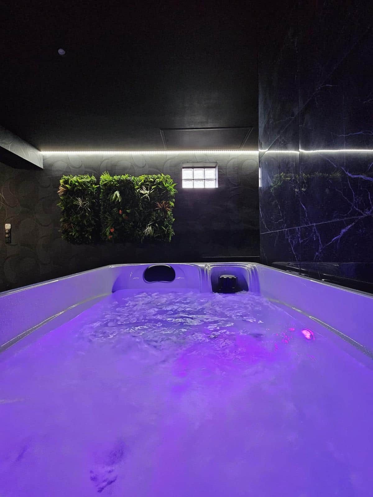 A spa room with a water feature, a window, and a wall with greenery.