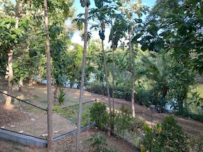 Área da propriedade