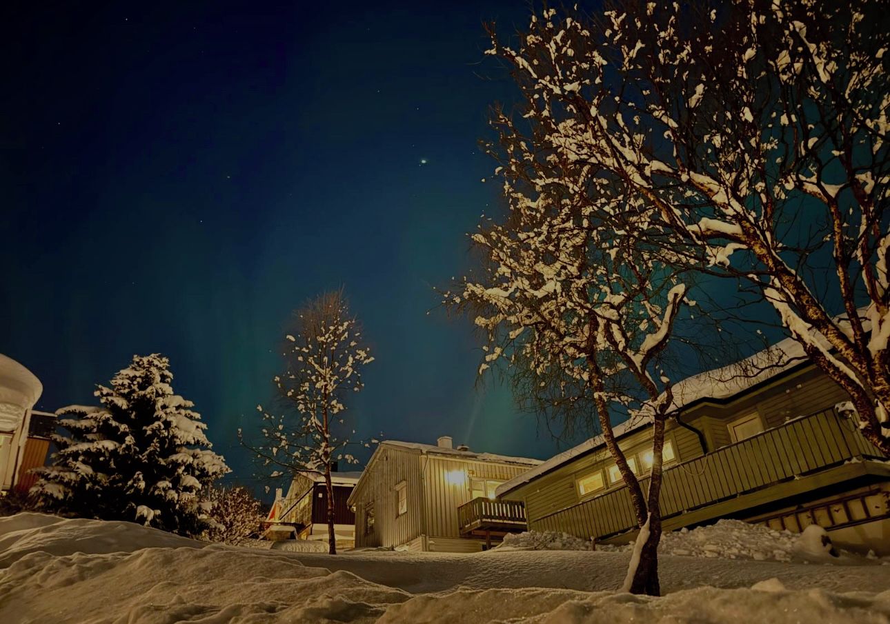 A snow-covered landscape with buildings and trees under a night sky.