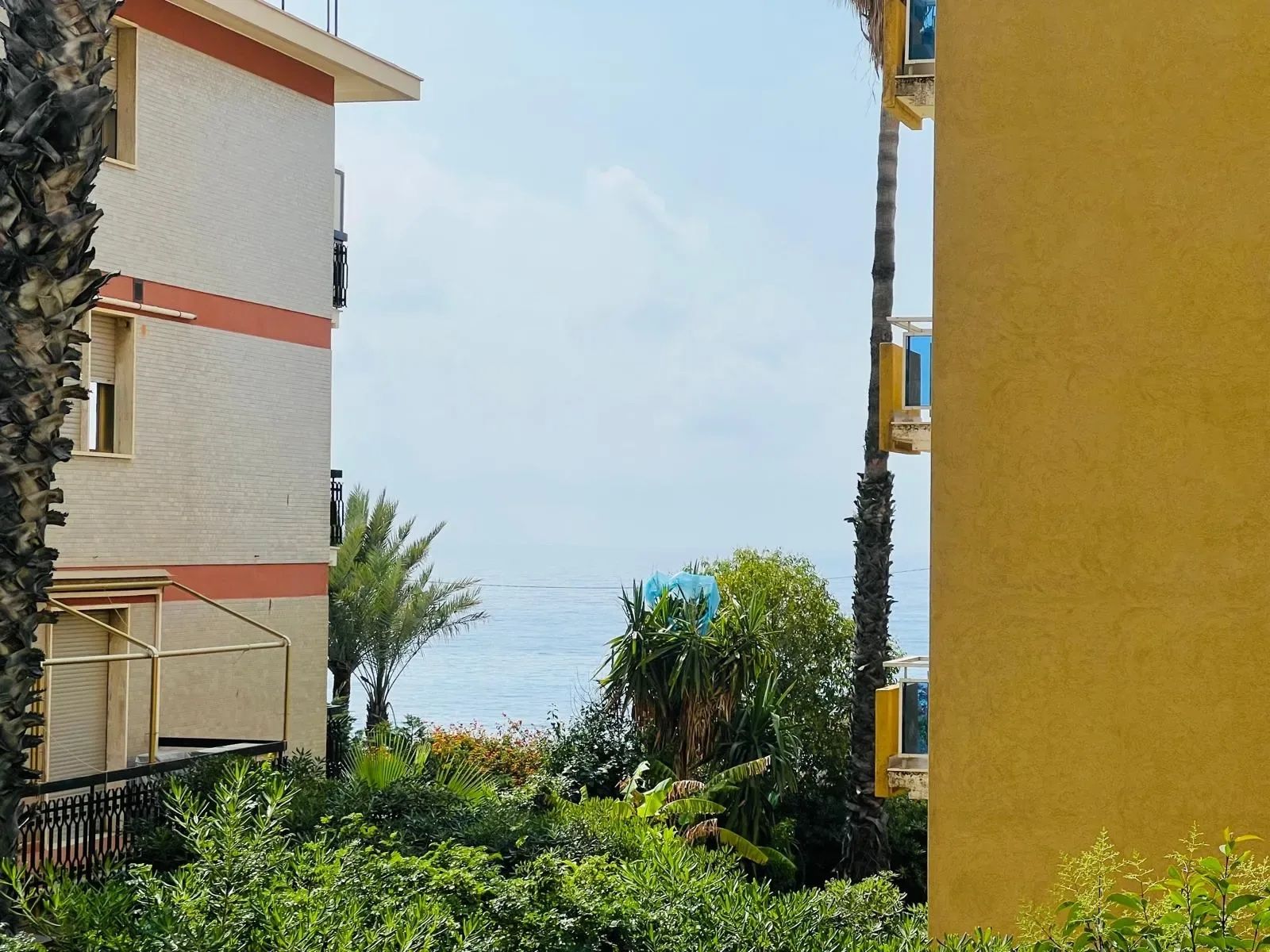 A residential building with a view of the sea, surrounded by greenery and palm trees.