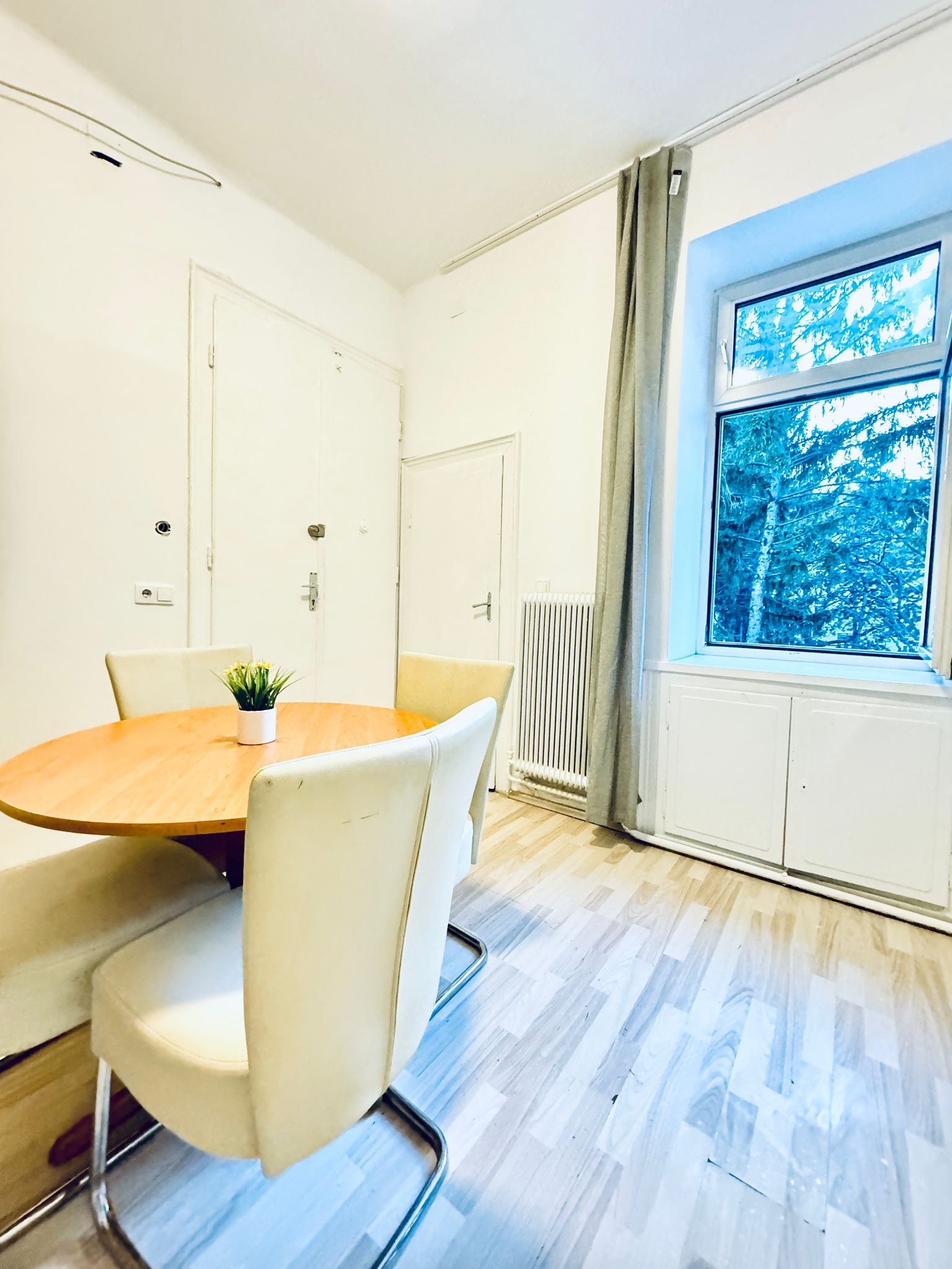 Een vergaderzaal met een ronde tafel, witte stoelen, een potplant en een raam met uitzicht op bomen.