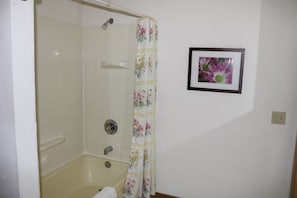 Une salle de bain avec une douche, une baignoire et un tableau encadré au mur.