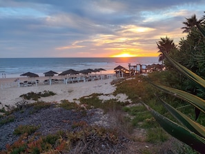 A beach with sun loungers and umbrellas, a palm tree, and a sunset over the ocean.