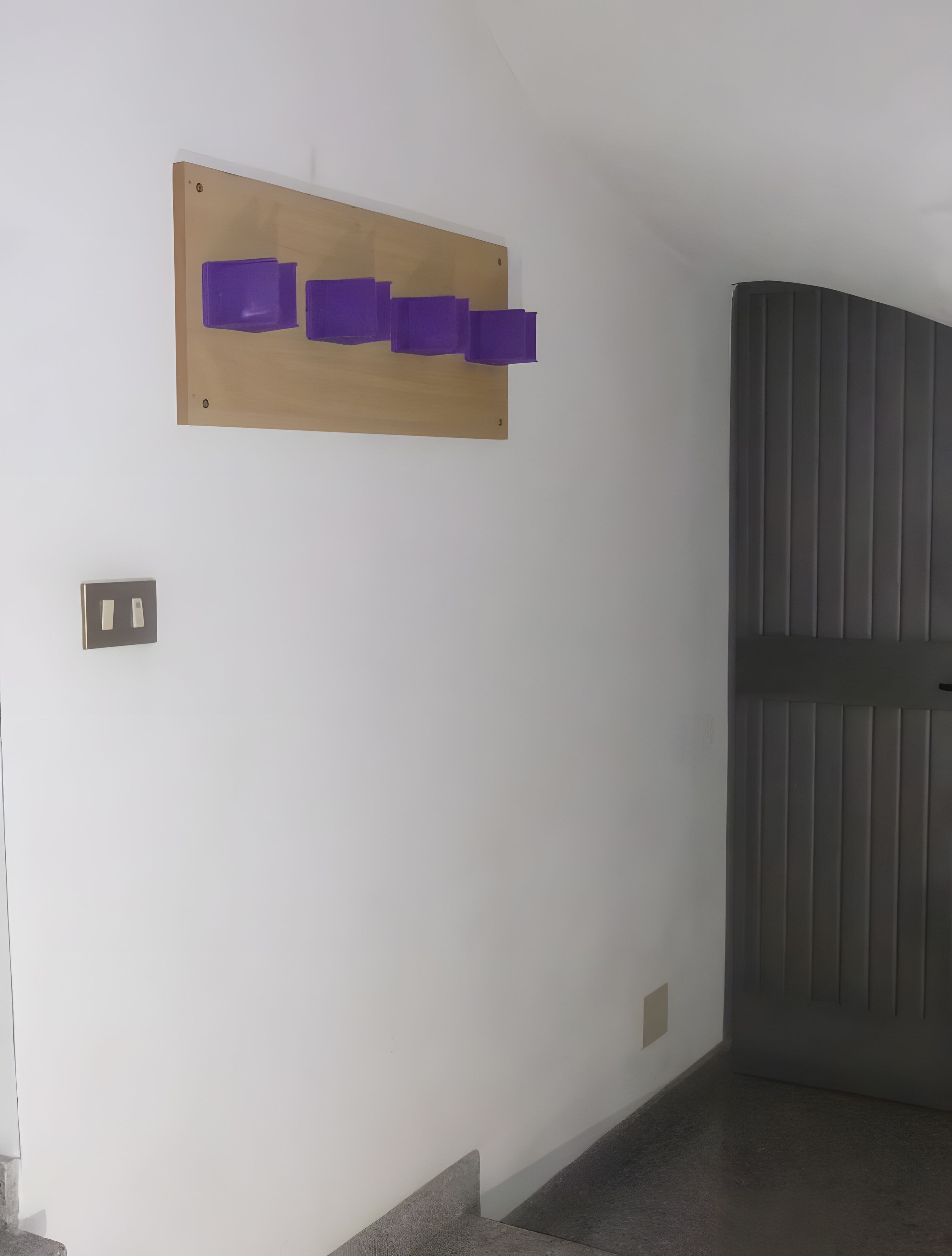 Un corridoio con pannelli in legno e oggetti viola, una porta con pannelli verticali e un interruttore sulla parete.