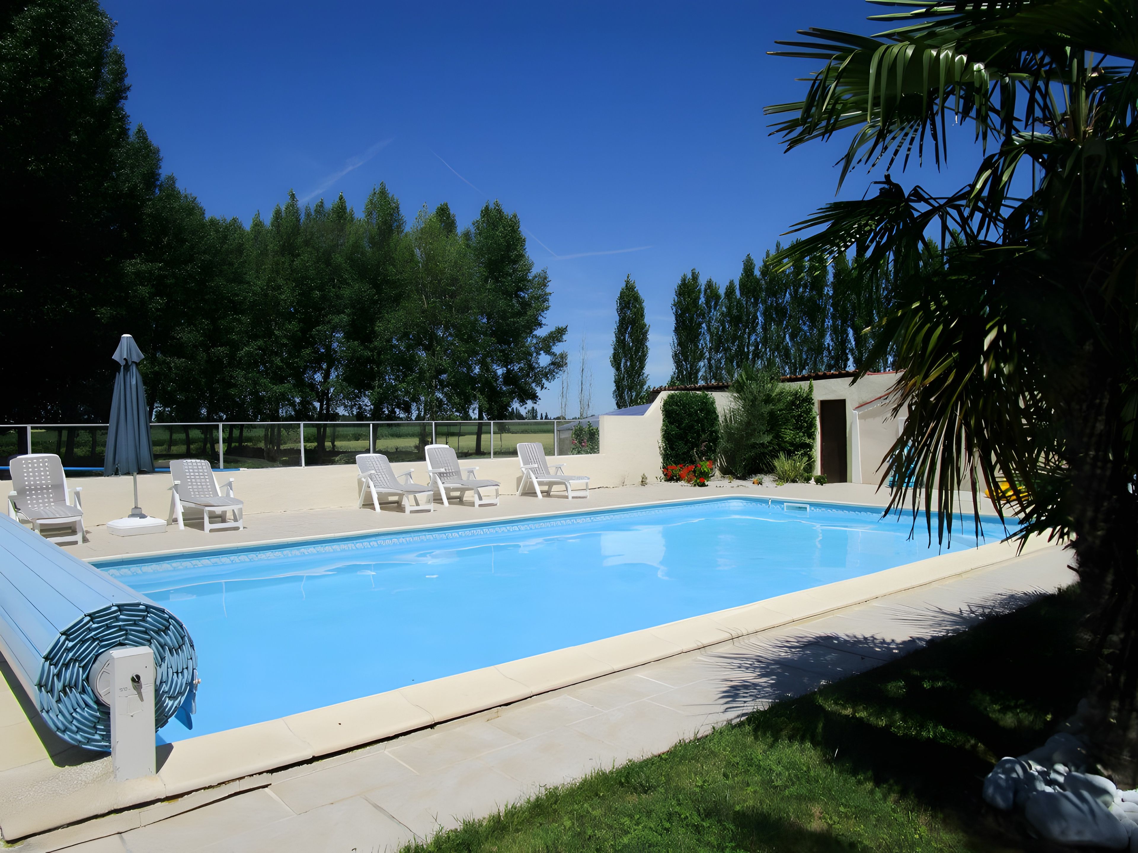 Ein Swimmingpool mit Liegestühlen und Sonnenschirm, umgeben von viel Grün und Bäumen.