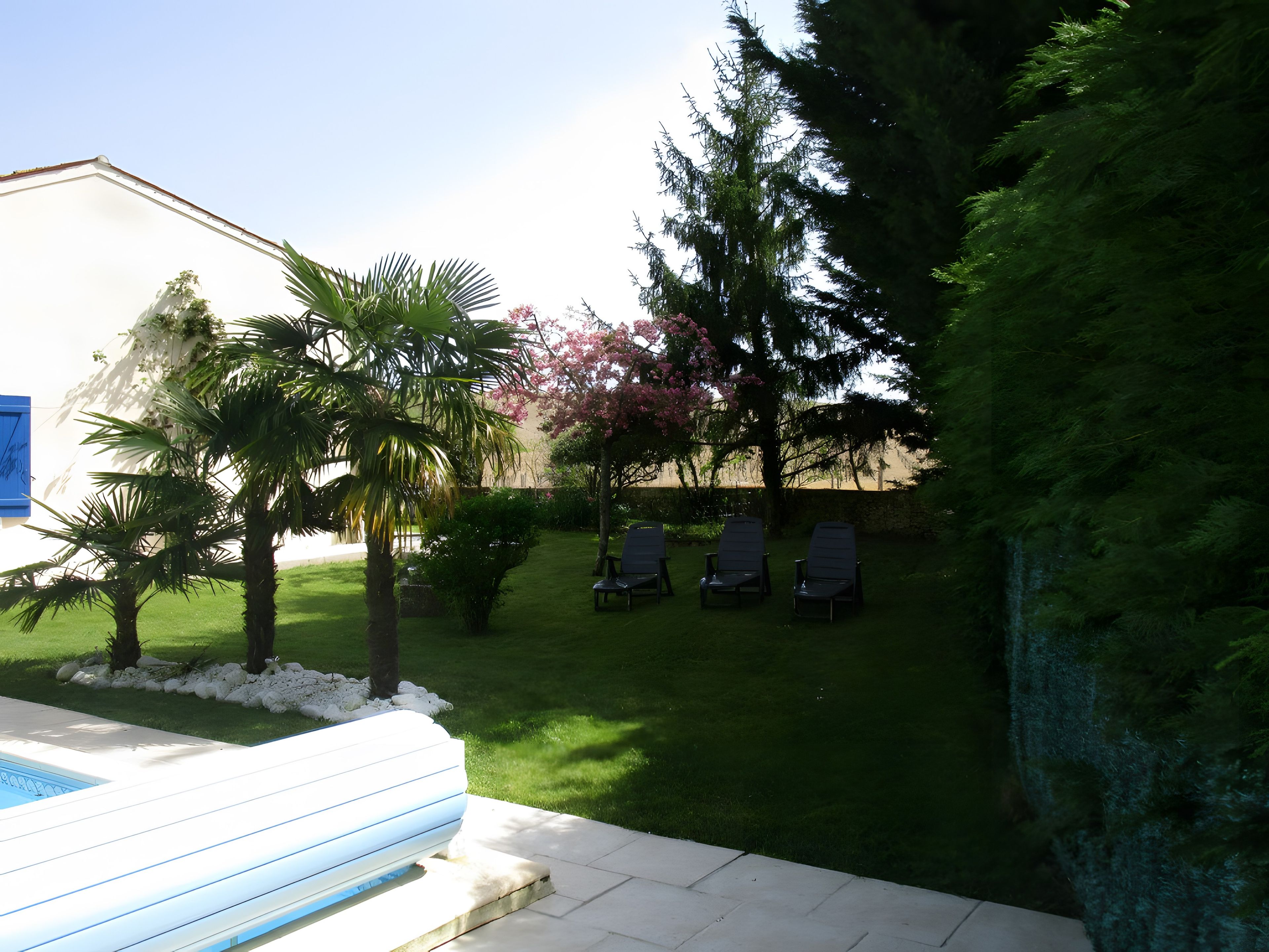Ein Garten mit Swimmingpool, Palmen, einem blühenden Baum und Liegestühlen.