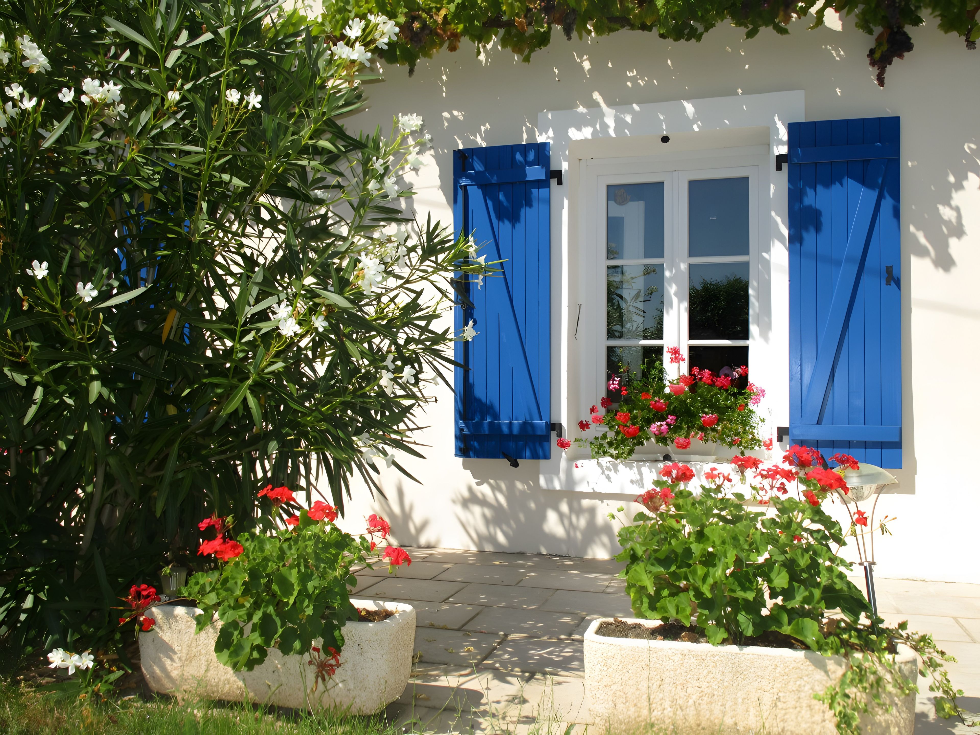 Ein weißes Gebäude mit blauen Fensterläden, Blumentöpfen mit roten Blüten und blauem Himmel.