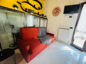 A red sofa with a grey throw, a TV mounted on the wall, and a radiator. - New Listing (Sanremo)