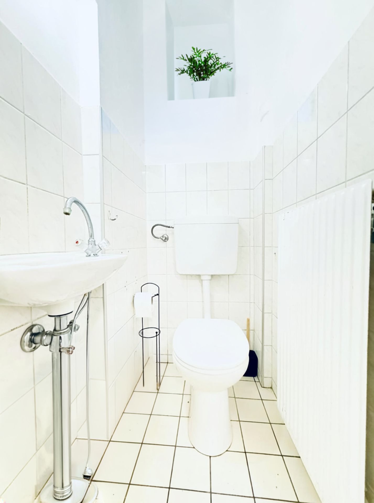 Een kleine, witte badkamer met een wastafel, toilet en een klein plantje aan de muur.