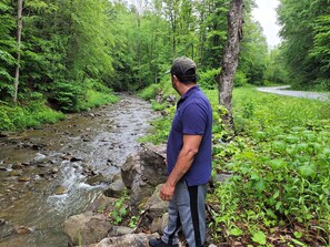 A man standing by a rocky stream in a forested area. - Lovely, Off grid campground perfect for outdoor fun in Catskill Middleburgh (Middleburgh)
