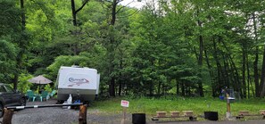 A campsite with RVs, picnic tables, and a 'POSTED' sign. - Lovely, Off grid campground perfect for outdoor fun in Catskill Middleburgh (Middleburgh)