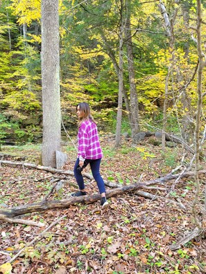 A forest with a person walking on a fallen log. - Lovely, Off grid campground perfect for outdoor fun in Catskill Middleburgh (Middleburgh)