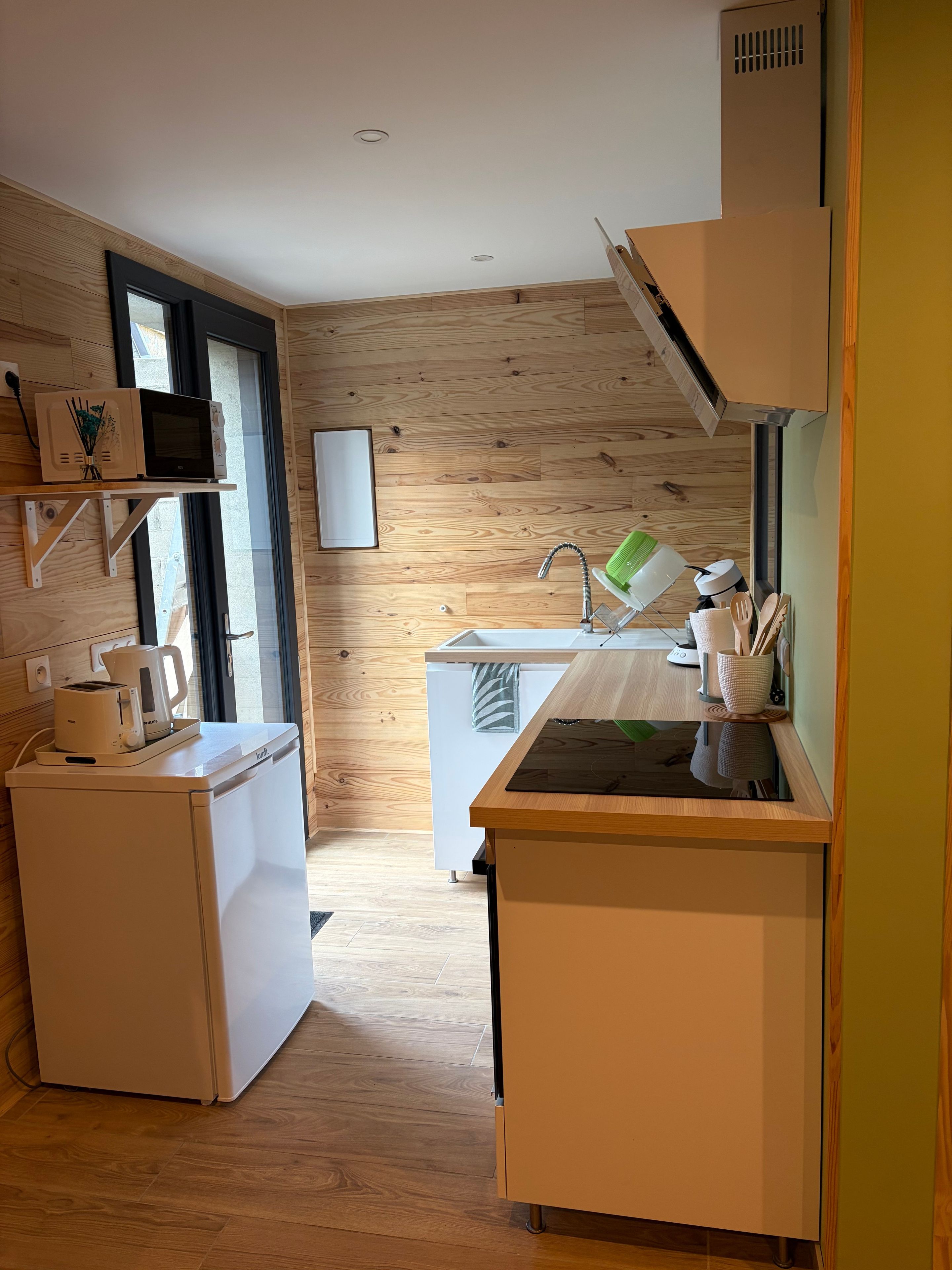 Una cocina compacta con refrigerador, microondas y pileta.