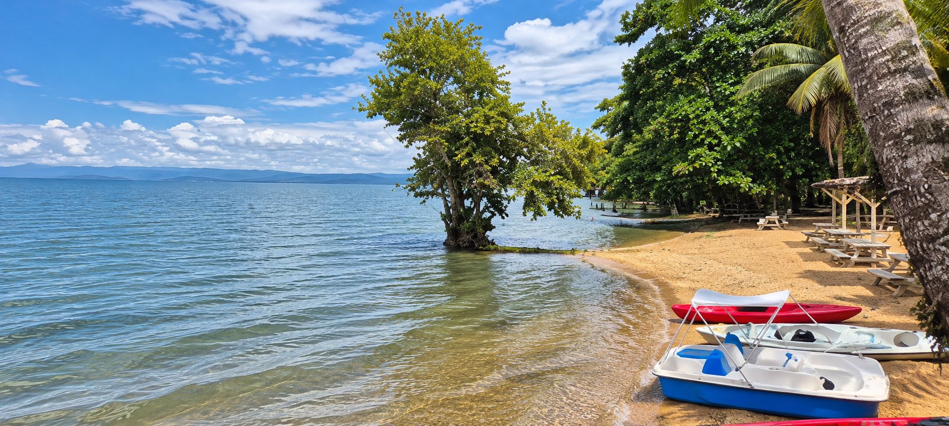 Una playa con agua cristalina, una orilla arenosa y una hilera de barcos.
