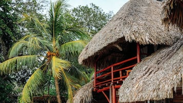 A rustic thatched-roof structure with a wooden porch and a palm tree in the background.